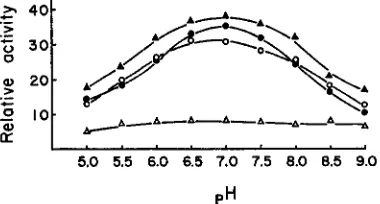 FIGURE 2.-Sensitivity treatment with ( 0 of FF and NN pH 7.5 esterases of endosperm and plumule to 1 minute 6 M urea, expressed as percent of activity in the controls