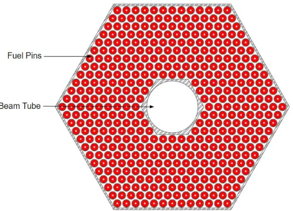 Figure 5: DLFR fuel subassembly radial layout [4] 