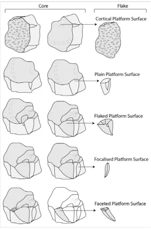 Figure 2.17 Platform surfaces observed of flakes, showing the corresponding change in core morphology