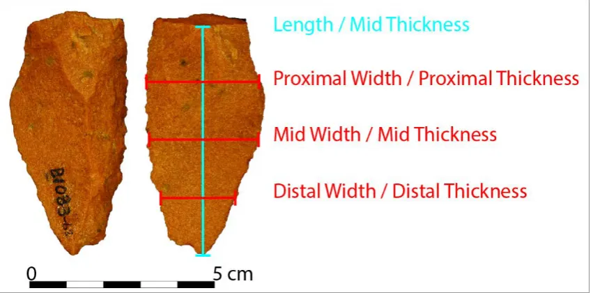 Figure 2.20 Qualitative cross sectional shapes. 