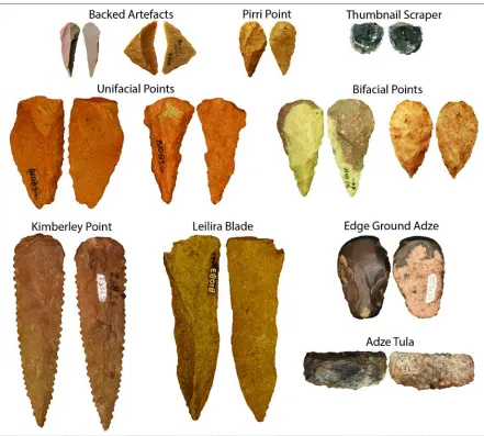 Figure 1.3 Artefact types of the small tool tradition.  