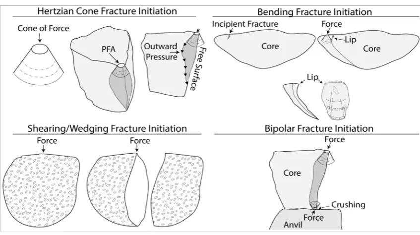 Figure 2.1 Conchoidal surface attributes on flakes produced by hertzian fracture. 
