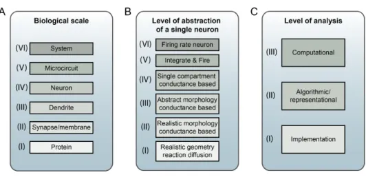 Figure 1.1: Three possible ways which can be used to categorise neuronal modelling. A) The biological scale of elements included in the model, ranging from interactions at the protein level to systems level behaviour