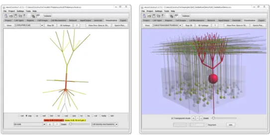 Figure 2.1: Two screenshots of the main neuroConstruct graphical user in- in-terface. Image on left shows a single cell with reduced number of  compart-ments (Layer 2/3 Pyramidal cell from Traub et al (2005)) with an Na +  chan-nel conductance density that