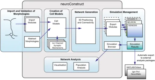 Figure 2.2: An overview of the core neuroConstruct functionality. Repro- Repro-duced from Gleeson et al (2007).