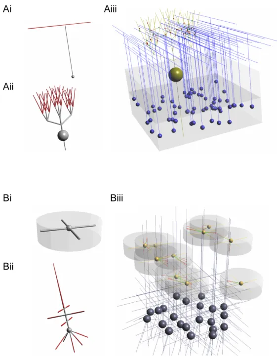 Figure 2.6: Network connection types in neuroConstruct. A) Morphology Based Connections: pre- (i) and postsynaptic (ii) cells showing potential locations for that connection type in red, and a network created using the cells (iii)