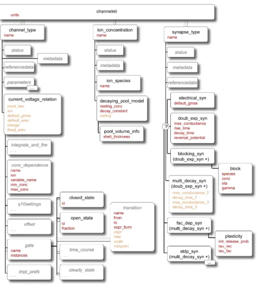 Figure 3.4: Elements in ChannelML. ChannelML allows expression of mod- mod-els of voltage (and ligand) gated conductances which are dispersed across the cell membrane (in channel type element), conductances which are  con-centrated at synaptic contacts (in