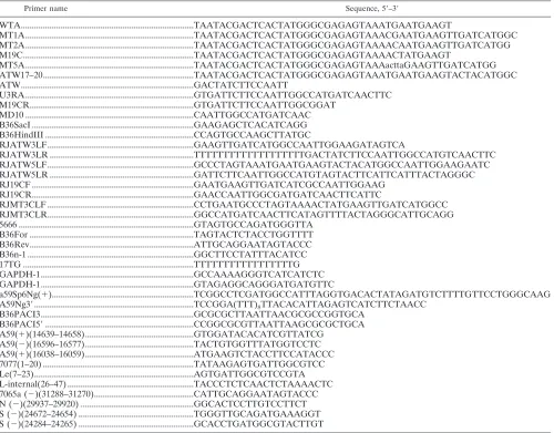 TABLE 1. Primers used for gel mobility shift RNase T1 protection assays, site-directed mutagenesis, and RT-PCR