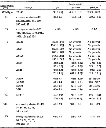 TABLE 6 Specific p-galactosidase activity in Lac- strains 
