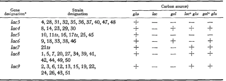 TABLE 2 Summary of the complementation analysis and growth properties of Lac- mutants 