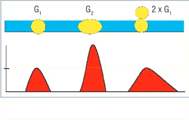 Figure 3. Doublet discrimination is possible based on fluorescence height, fluorescence area and signal width.