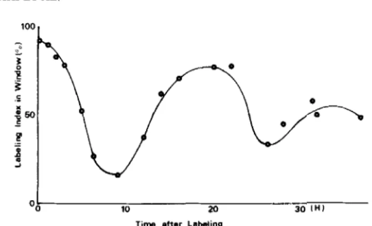 FIG. 4.  Extraction of  the cell cycle parameters by  hand. Solid  line: 