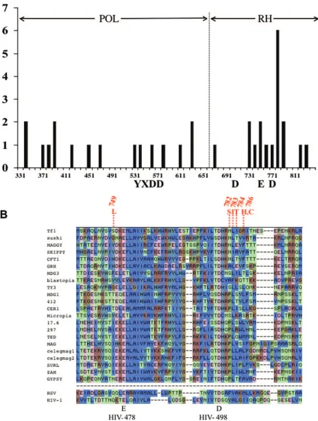 FIG. 2. Position of mutations in RT. (A) The numbers of single amino acid mutations identiﬁed with the genetic assays were mapped in binsof 10 amino acids