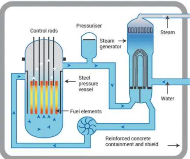 Figure 6: Schematic of Pressured Water Reactor (PWR), displaying the core components of the reactor