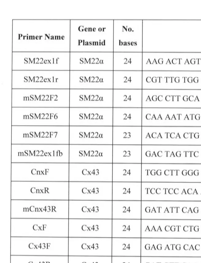 Table 2.1 Summary of oligonucleotides used in the present study 