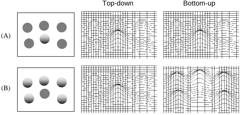 Figure 2.  Illustrative activation matrices.  Two displays are shown to the left:  one containing a single shaded object among multiple flat objects (A) and another display 
