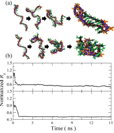 Figure 2.2. (a) Representative folding pathway of 25-mer ssDNA in implicit solvent for the first 15 ns