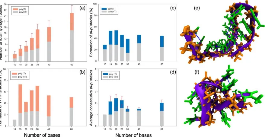 Figure 2.5. Formation of specific non-bonded interactions in poly(T) (orange or blue bars) and poly(nT) (grey bars)