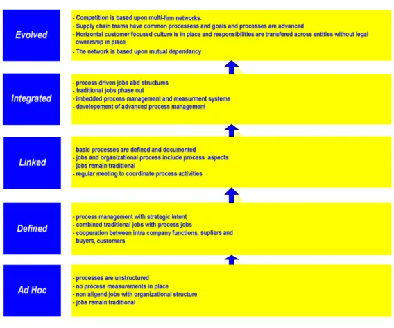 FIGURE 2.3 The Maturity Model 