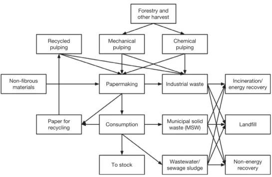 Figure 1 The paper system.
