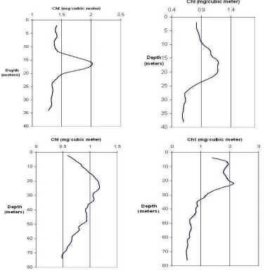 Figure 3-5 Vertical distribution profiles of chlorophyll [10]. 