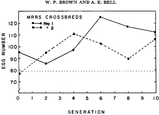 FIGURE 43.-Observed MRRS crossbred responses. 