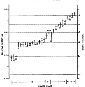 FIGURE 2.-Observed estimated mean. Dashed lines give estimated location Variants are grouped according to charge as given at the bottom estimated from at least six different gels