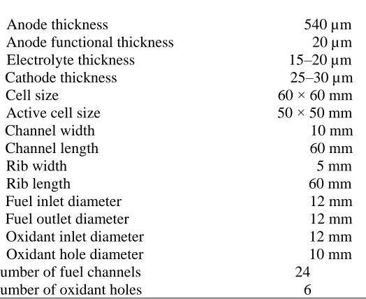 Figure 2.  Schema of fuel and oxidant chambers.  