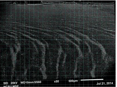 Figure 3.1 Grid overlay used to partition the SEM cross section of the SMAT microstructure 