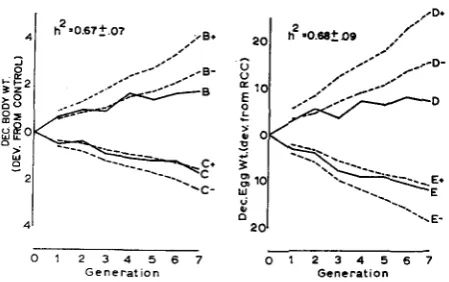 FIGURE 9.-Upper (+) and lower (-) 95% confidence intervals for selection response ex- pected from base population heritability estimates