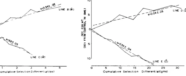 FIGURE 3.-Regressions of mulative selection differentials (realized herit- ability) response on cu- for the body weight lines