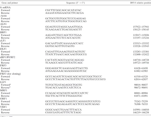TABLE 1. List of primers used