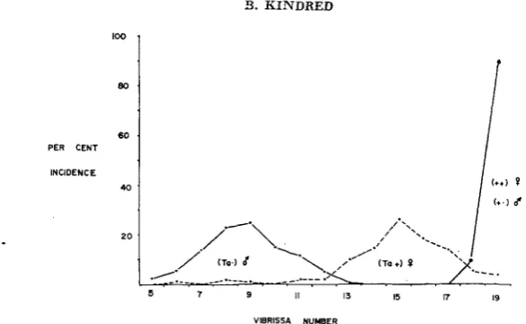 FIGURE 2.-Distribution +/+ of vibrissa numbers in unselected (or +/Y), Ta/+ and Ta/Y mice