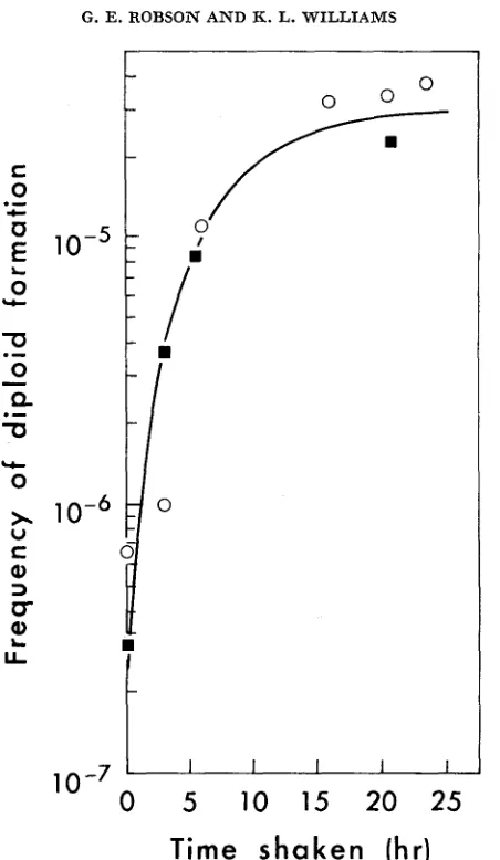 FIGURE 1 washed amoebae restrictive temperature, as estimated by haemacytometer counts strains M28 in in clumps diploids obtained as described tion 106 1974a)