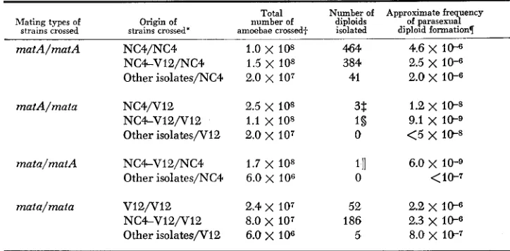 TABLE 3 