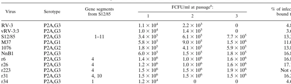 FIG. 1. Correlation of binding of infectious, MA104 cell-adapted, serotypeP2A[6] rotaviruses to Caco-2 cells with the titer of virus produced after a single