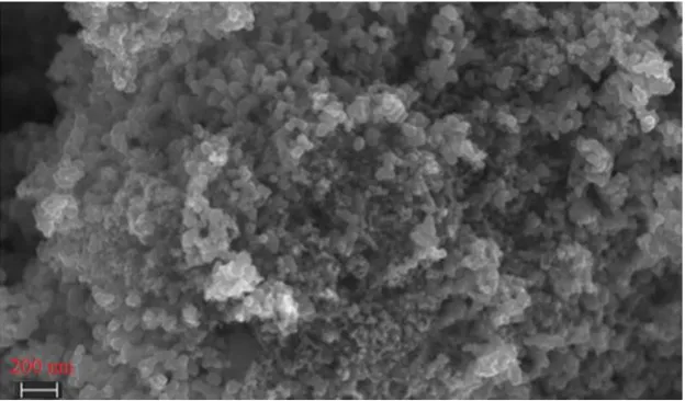 Figure 1.  Scanning electron microscope image of PbTe nanoparticles.  