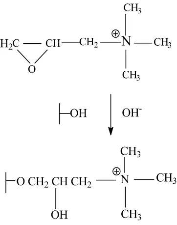 Figure 3.3: Cationization of cotton using 2,3-epoxypropyltrimethylammonium chloride 