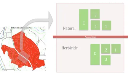 Figure 2: Treatment Plots Diagram 