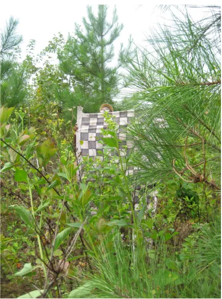 Figure 3: Vegetation Density Screen 