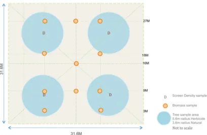 Figure 4: Plot sampling scheme 