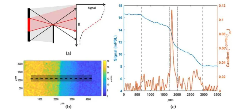 Figure 2. Operation of the penumbral foil, (a) schematic outlining the expected response from a two source x-ray signal, red a bright centralsource, and grey a larger substrate source (b) is a radiograph of the penumbral foil from a 100 μm thick target at 