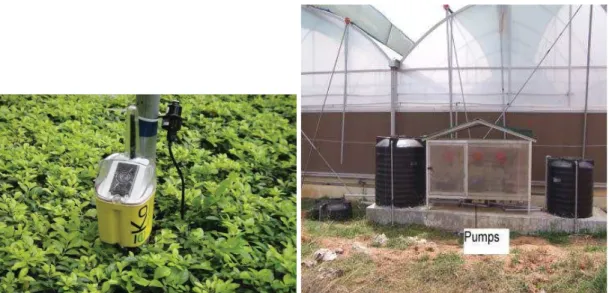 Figure 1.2: Typical examples of Greenhouse and Field Agriculture Monitoring Application [30, 31]