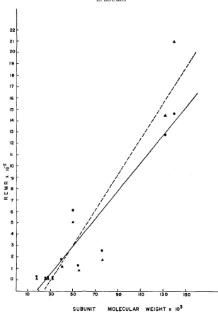 FIGURE 4.--Regression enzyme subunit of relative electrophoretic mutation rate against molecular weight of in D