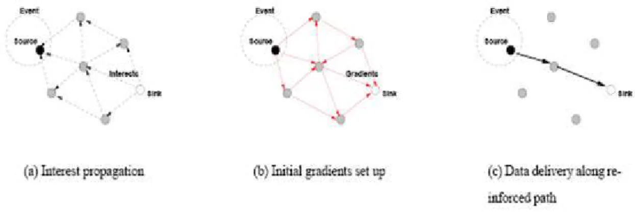 Figure 2.5 displays a typical example of the working of directed diffusion ((a) sending interests, (b) set up gradients, (c) path reinforcement and send data).