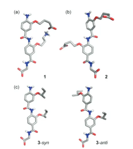 Fig. 2Analyses of covalently constrained trimeric aromatic oligoamidefoldamer 4 (a) single crystal structure analyses highlights the restrictednature of rotation around the Ar2–CO axis enforced by the covalent linkand the anti-relationship of the groups either side of the Ar2–CO axis (b)1H–1H NOESY spectrum of compound 4 demonstrating propensity for acovalent link to restrict rotation in helix mimetics: (7–9 ppm, 500 MHz,CDCl3, 40 mM).