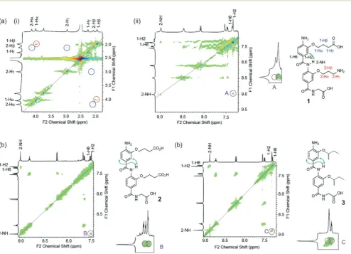 Fig. 4NMR studies demonstrating propensity for side-chains to controlspectrum of compound syn-/anti-conformational preference in helix mimetics: (a) 1H–1H NOESY 1 (i) 2–4.5 ppm and (ii) 7–9 ppm (500 MHz, DMSO-d6, 40 mM) together with expansion highlighting key diagnostic NOE (b)1H–1H NOESY spectrum of compound 2 (7–9 ppm, 500 MHz, DMSO-d6, 40 mM), together with expansion highlighting key diagnostic NOEs; (c)1H–1H NOESY spectrum of compound 3 (7–9 ppm, 500 MHz, DMSO-d6, 40 mM), together with expansion highlighting key diagnostic NOEs.