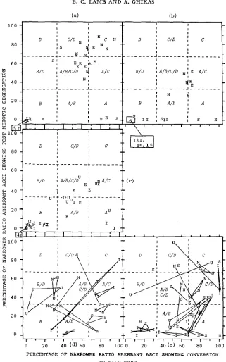 FIGURE 3.-Data of 170, (areas separated by dashed lines), and origin narrower ratio aberrant asci) in relation to conversion spectrum types, points for % PMS and % conversion to wild type (in both cases as a % A, A/B, B, B/D, etc
