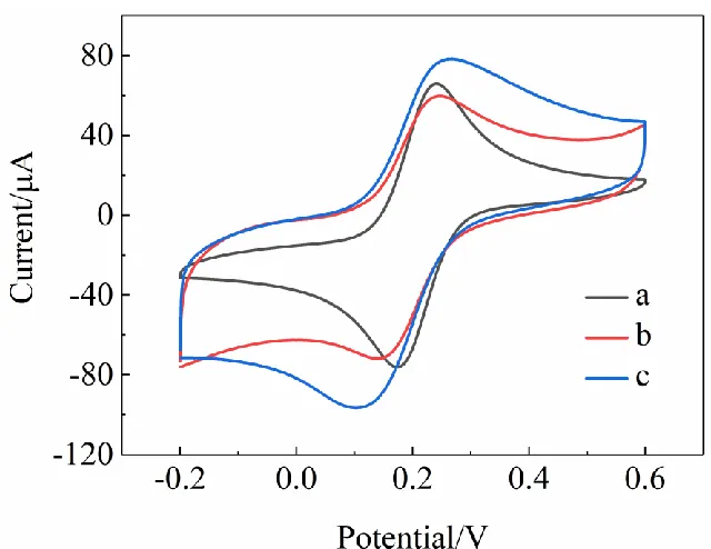 Figure 2.  Cyclic voltammograms of different working electrodes in 5.0 mM [Fe(CN)6]3-/4- containing 0.1 M KCl