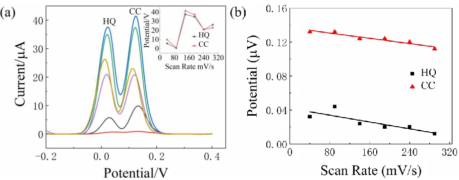 Figure 8. Effect of polymerization cycles on peak current response of mixtures of 30 μM CC and HQ in 0.1 M PBS at pH 6.8 